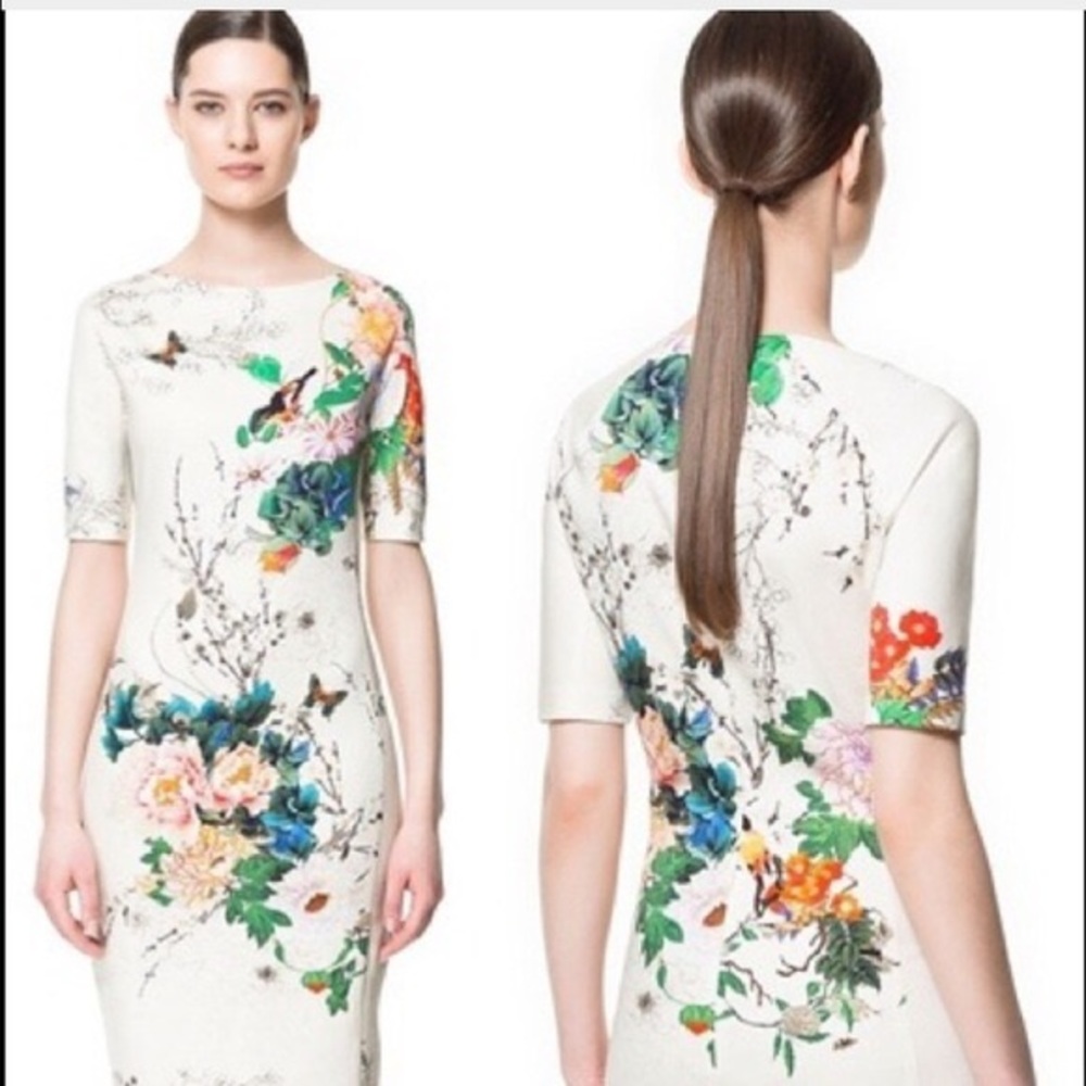 Zara Printed Sheath Dress Sz S NWT RARE